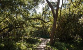 2017LosPenasquitosEastcropped